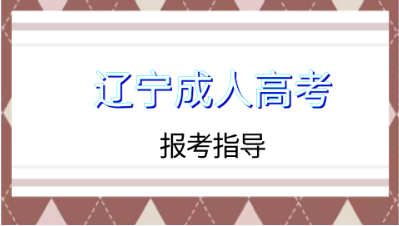 沈阳大学成人高考报考流程