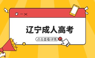 2024年辽宁成考加分政策可以叠加用吗